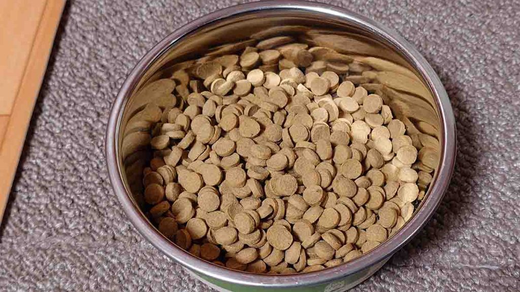 ステンレスのお皿に入った、このこのごはんの丸くてお椀型の粒