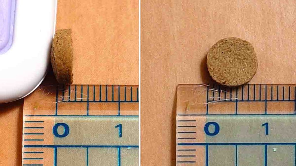 定規で測った「このこのごはん」の粒のサイズ。直径約8ミリ、厚み約2〜3ミリ